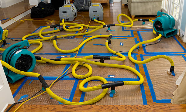 Professional Water Damage Restoration technician working in Seneca, KS